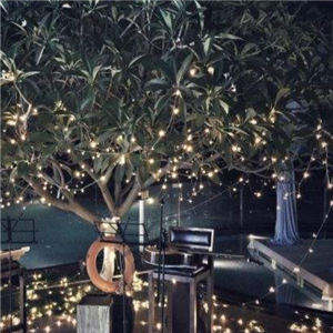 白云湖畔酒湖景西餐厅