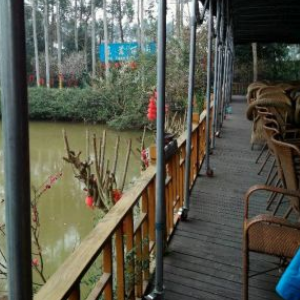 东篱丽园烤全羊