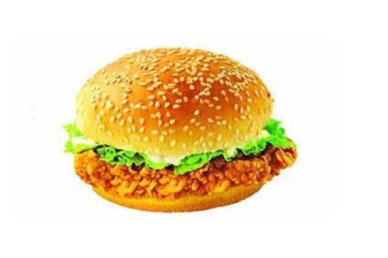 德立施汉堡加盟