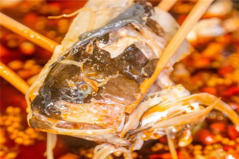 津鱼头火锅加盟