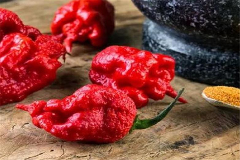 奔跑的辣椒加盟