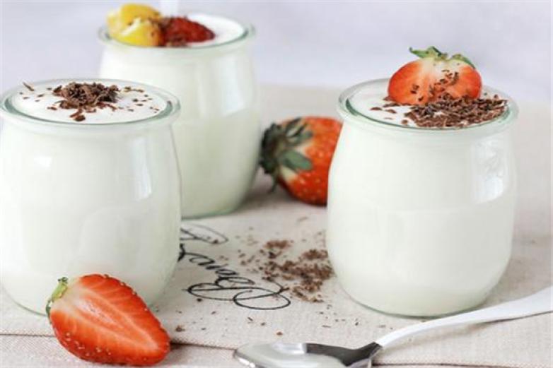 岭南老酸奶加盟