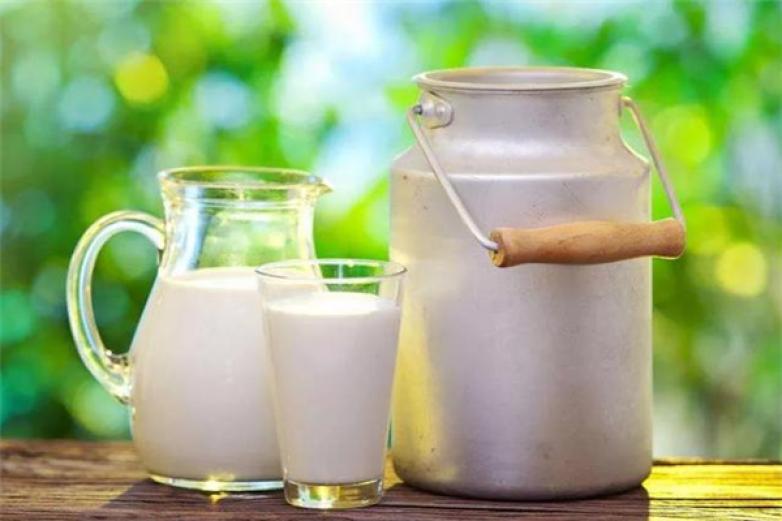 莫咖鲜奶吧加盟