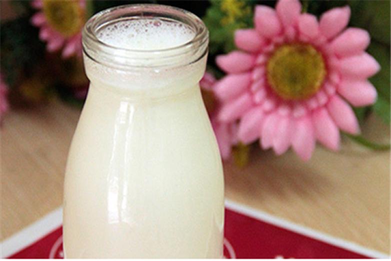 壮壮鲜奶吧加盟