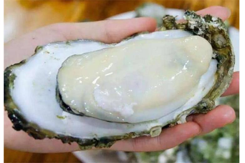 海仙村蚝宅加盟