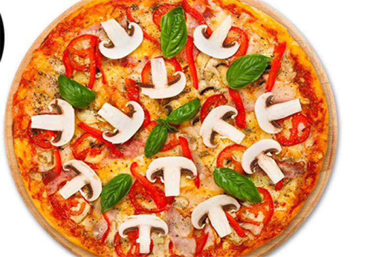 之乐夫比萨加盟