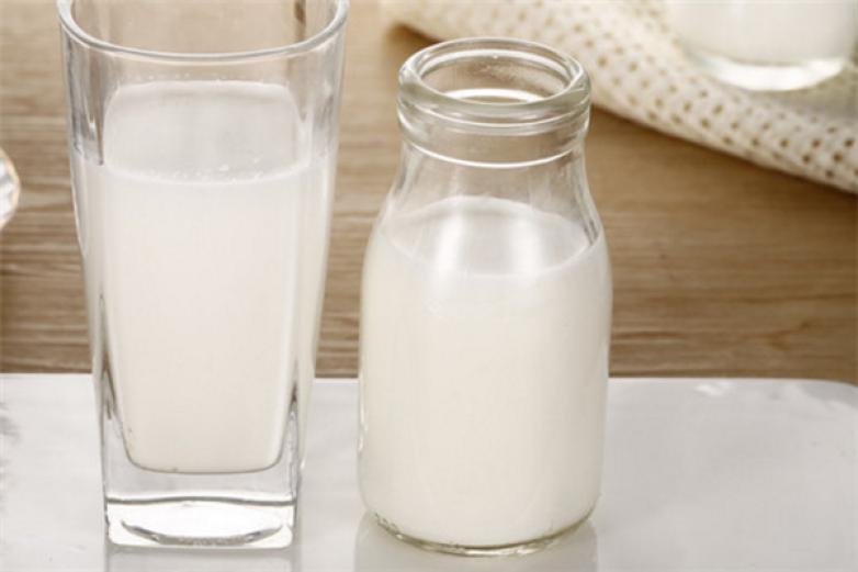 犇牛牧业鲜奶加盟