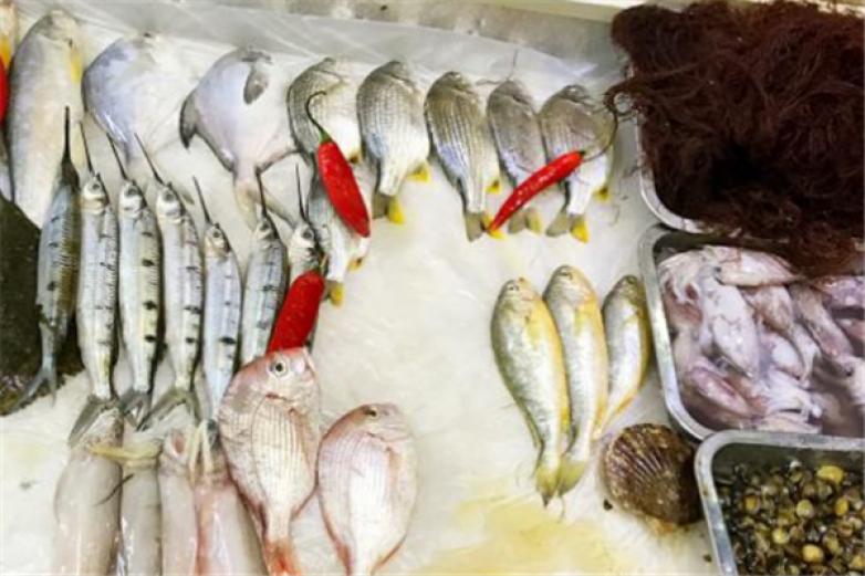 阿强海鲜档加盟