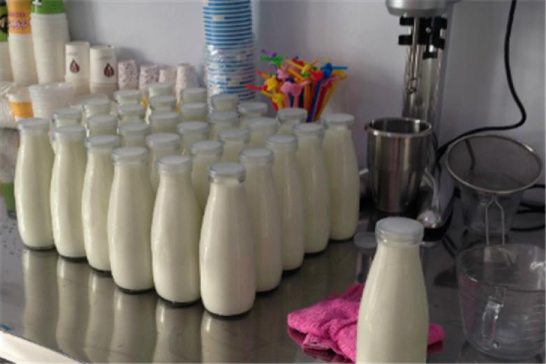 牧鲜森鲜奶工坊加盟