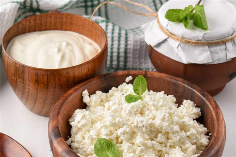 吉克士手工酸奶加盟