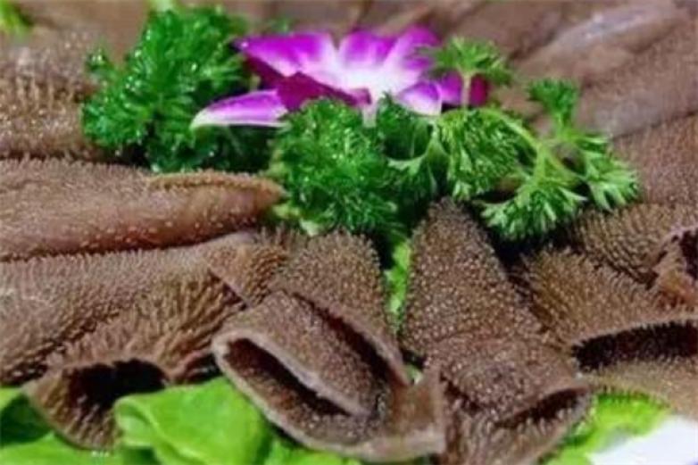 跃龙门美蛙毛肚火锅加盟