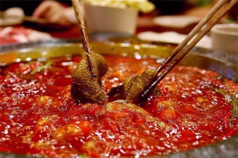 阳家私坊老火锅加盟