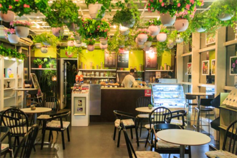 青兰白露饮品加盟