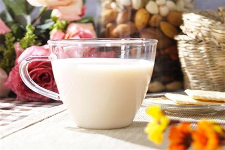 小毛的鲜奶铺加盟