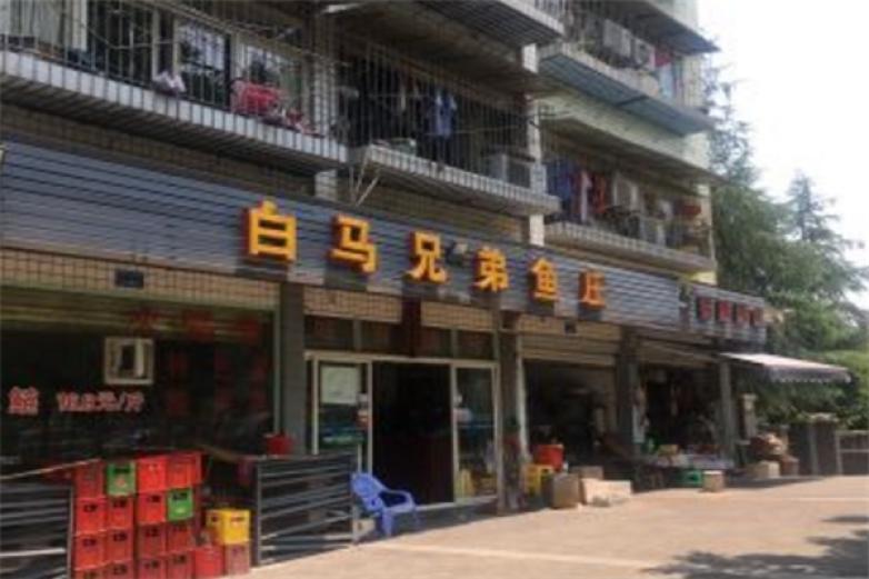 白马兄弟鱼庄加盟