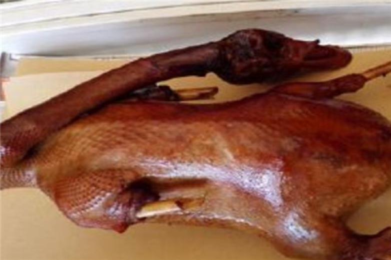 青老头烤鸽加盟