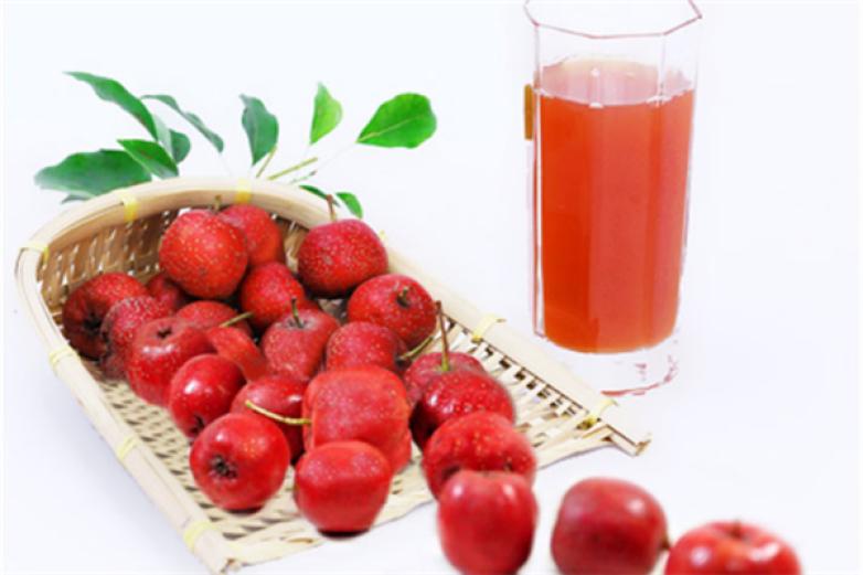 醇品山楂汁加盟