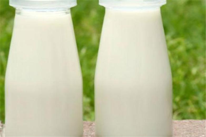 鲜乐仕奶吧加盟