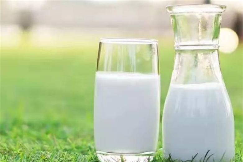 爱家鲜奶吧加盟