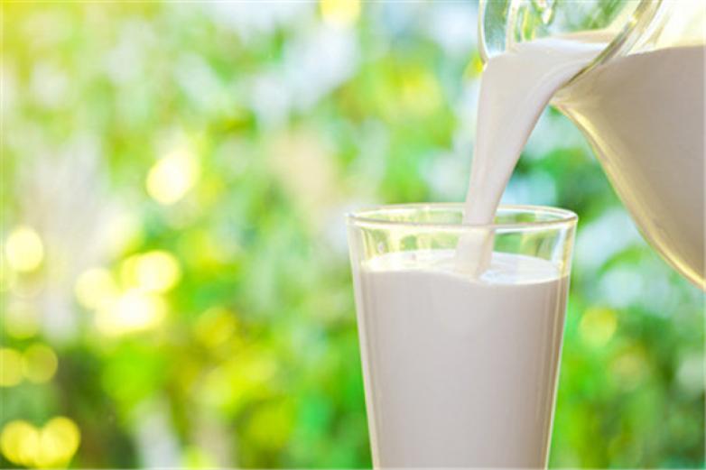 新乡鲜奶吧加盟