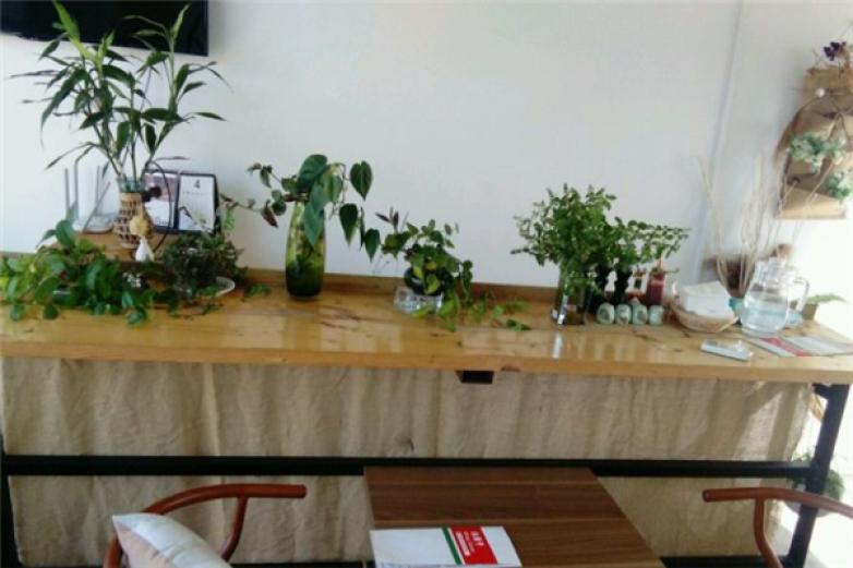 白房子餐吧加盟