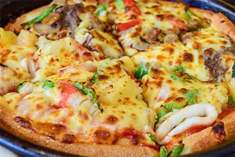 德乐滋比萨加盟