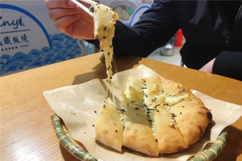 德乐滋比萨加盟