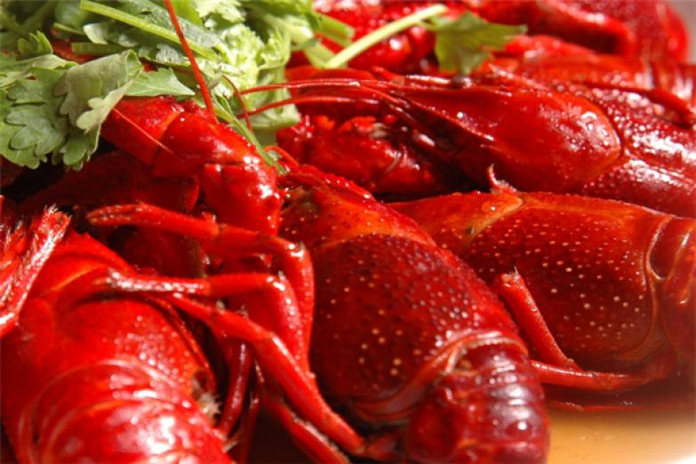 大象花园mini站加盟