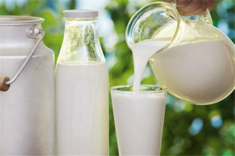 格球山乳品加盟