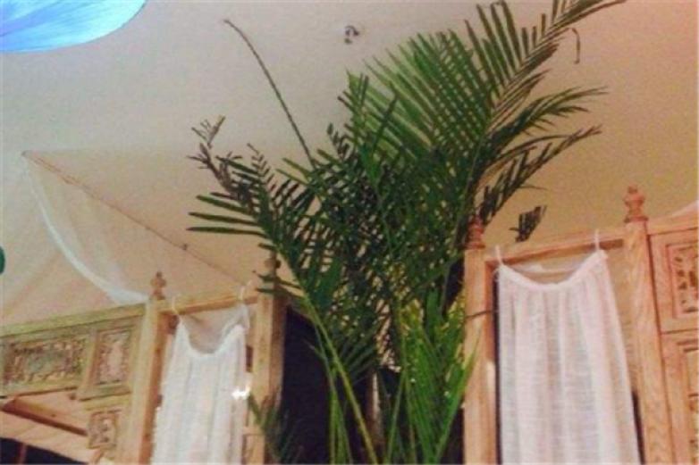 501花漾泰国菜加盟