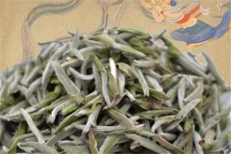 爱上魔法师加盟