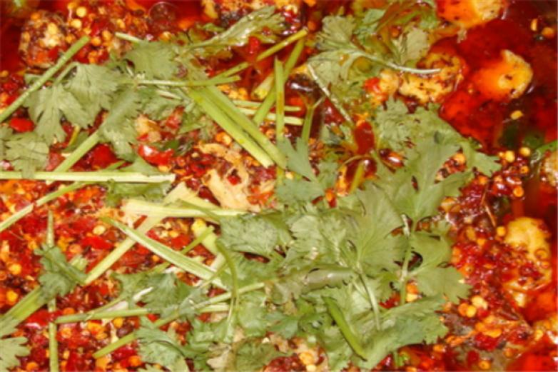 重庆藤椒火锅鱼加盟