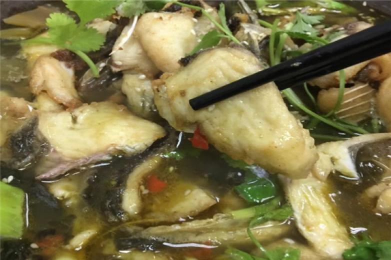 九寨沟养生石锅鱼加盟