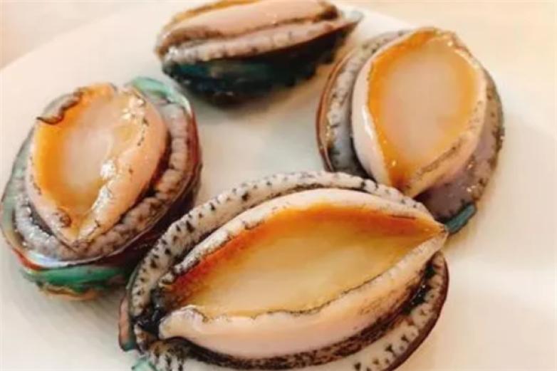 伊丝贝特海鲜自助餐连加盟