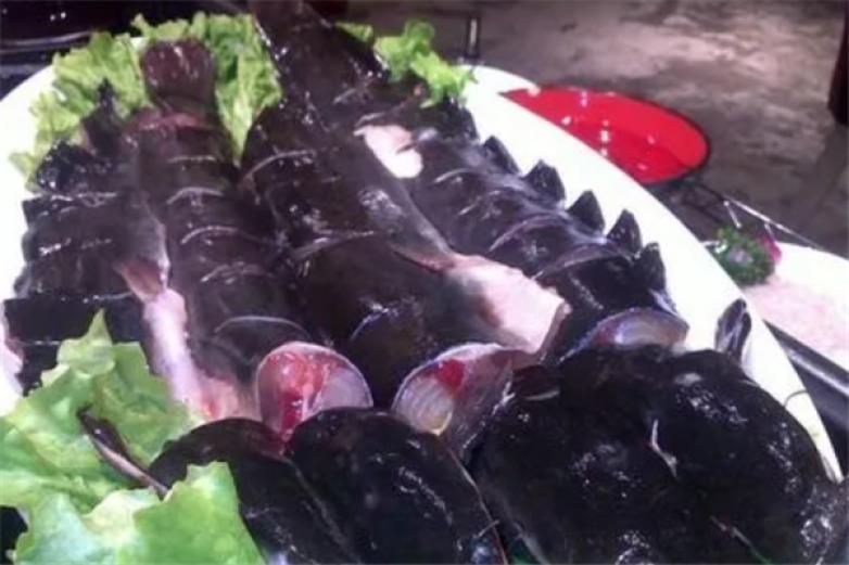 梭边鱼火锅店加盟