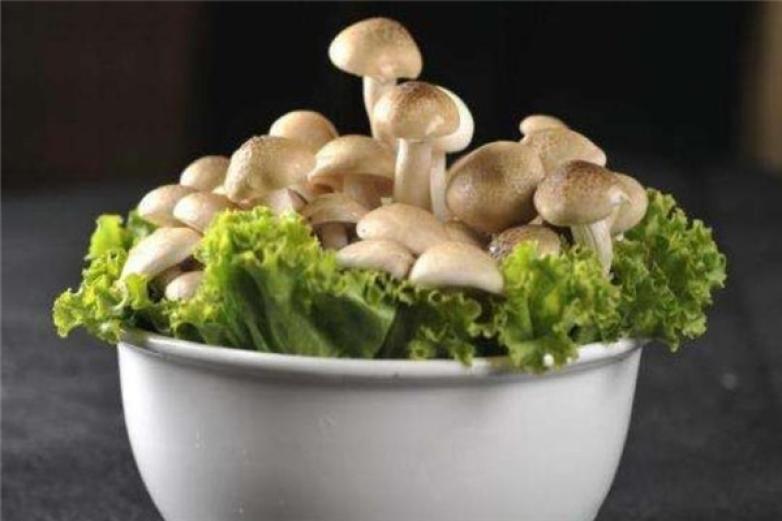 重庆火锅楼加盟