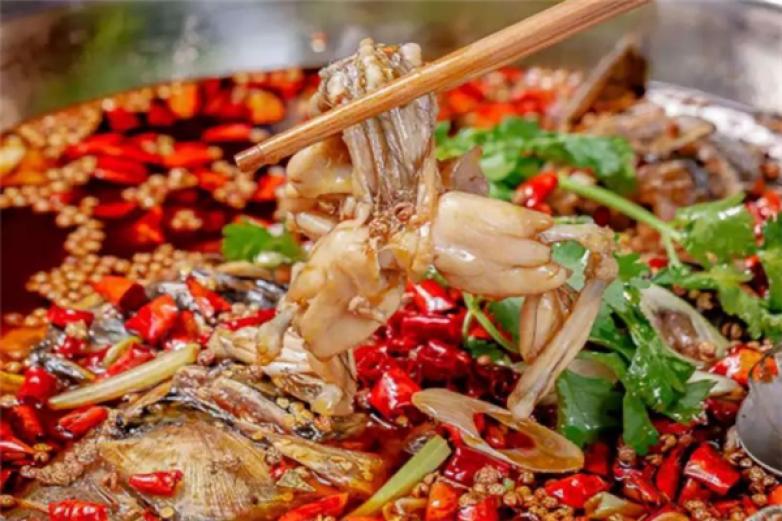 美蛙肥肠鱼加盟