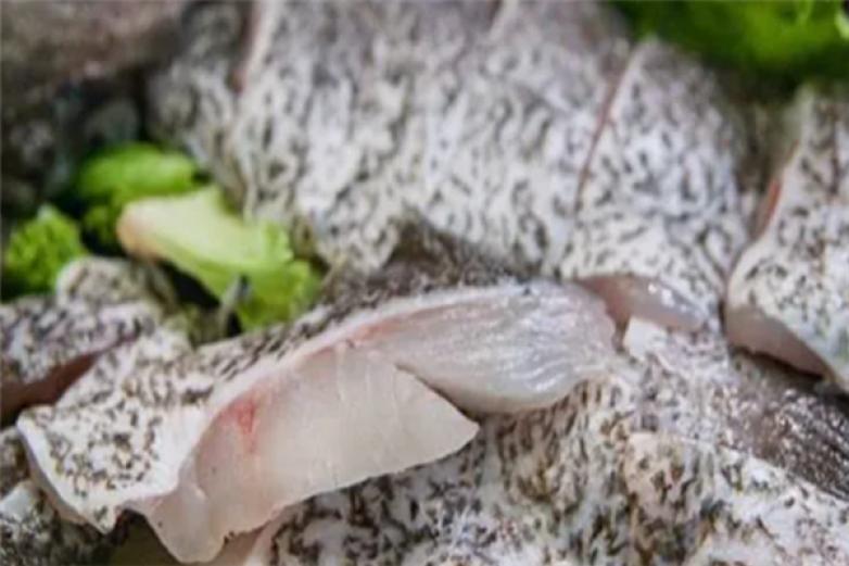 潮汕大石斑鱼头火锅加盟