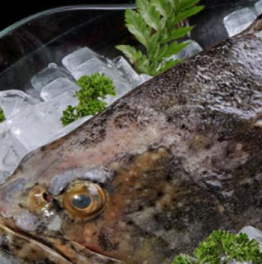 鱼不群斑鱼火锅