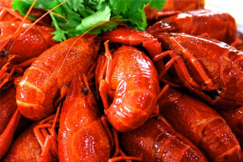 红色虾诱惑加盟