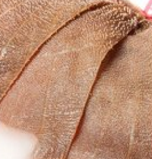 重庆毛肚王火锅