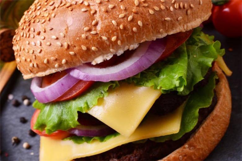 食鸡.炸鸡汉堡加盟