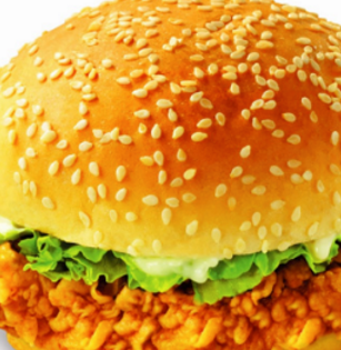 王叔叔de汉堡店