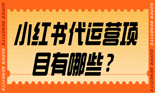 小红书代运营项目有哪些？