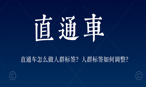 直通车怎么做人群标签？人群标签如何调整？