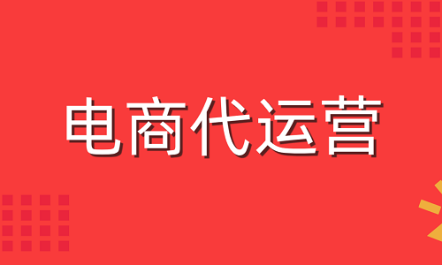 京东代运营公司服务模式