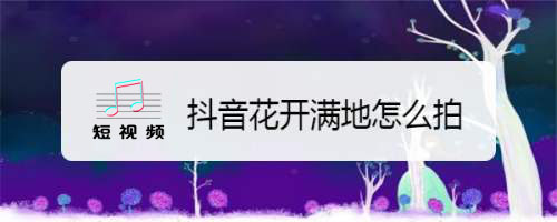 抖音代运营哪家公司比较好