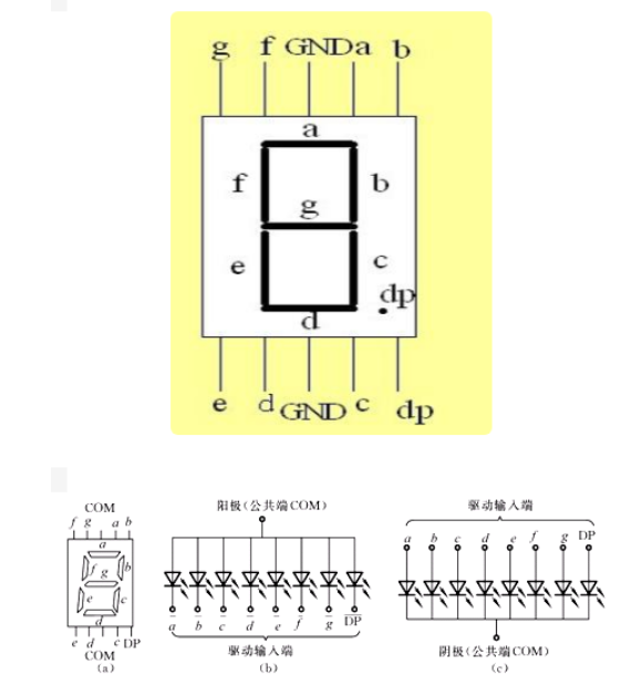 数码管引脚图及功能xxxxxx