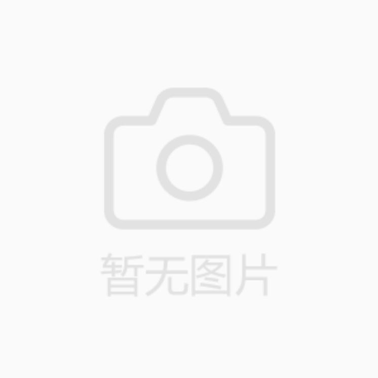 C100 / 5MP H.265 USB VIDEO 处理器 -