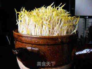 砂锅生绿豆芽的做法步骤：11
